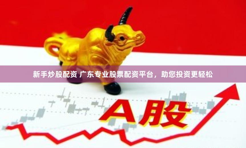 新手炒股配资 广东专业股票配资平台，助您投资更轻松