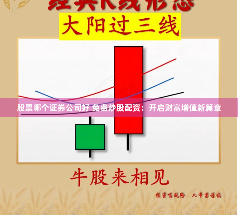 股票哪个证券公司好 免费炒股配资：开启财富增值新篇章