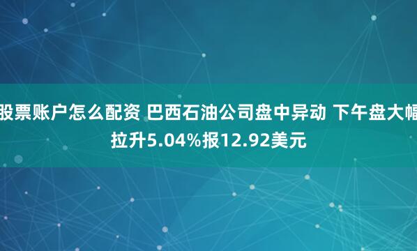 股票账户怎么配资 巴西石油公司盘中异动 下午盘大幅拉升5.04%报12.92美元