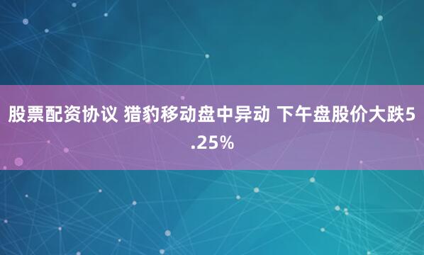 股票配资协议 猎豹移动盘中异动 下午盘股价大跌5.25%