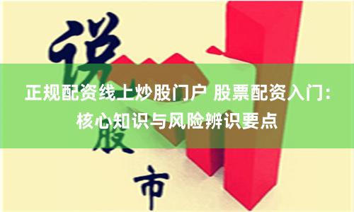正规配资线上炒股门户 股票配资入门：核心知识与风险辨识要点