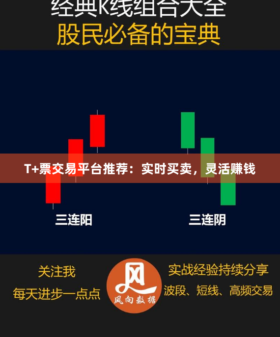 T+票交易平台推荐：实时买卖，灵活赚钱