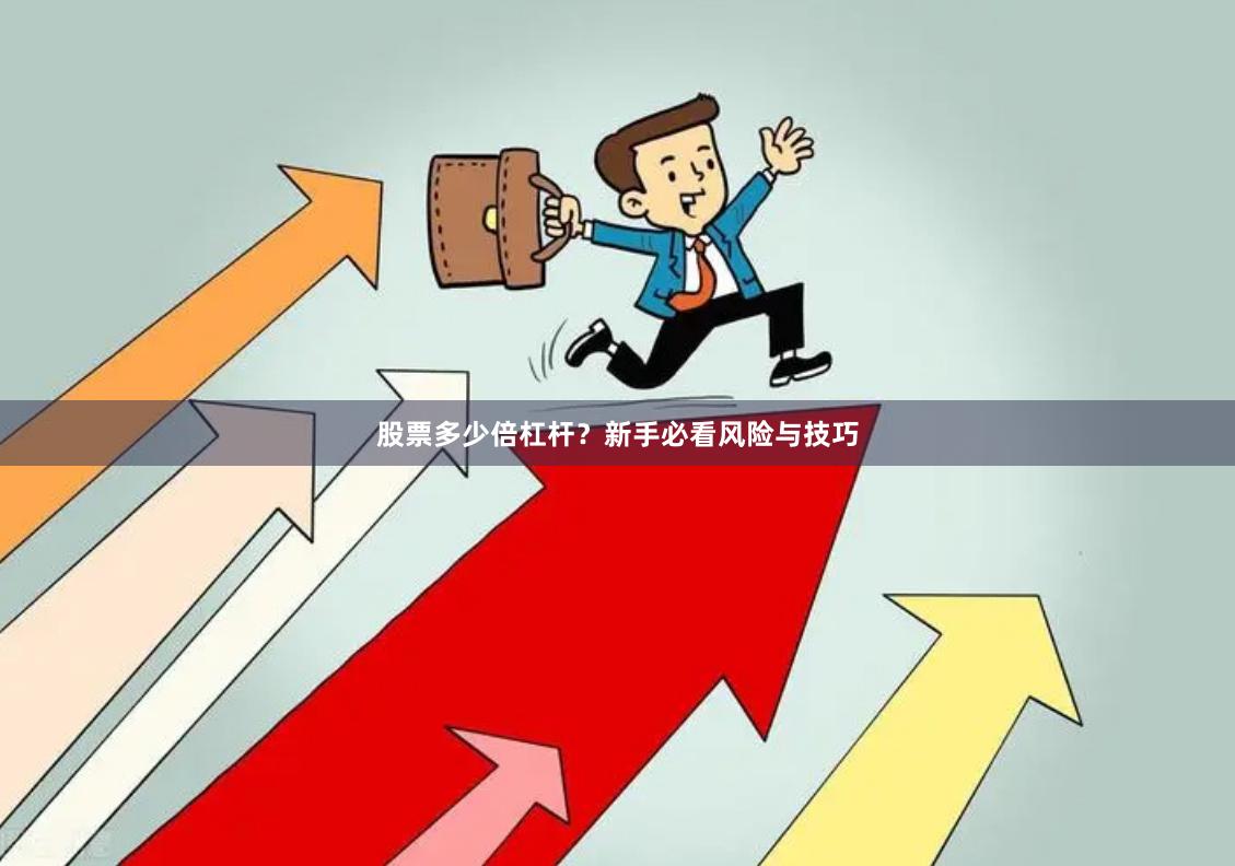 股票多少倍杠杆？新手必看风险与技巧